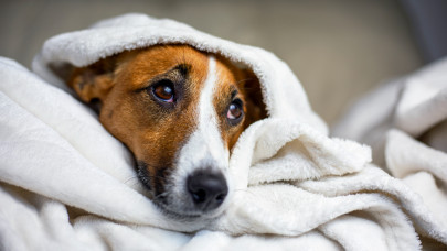 Ezt rengeteg magyar elrontja a lakása, háza fűtésekor: pedig rengeteg pénzt spórolhatnának