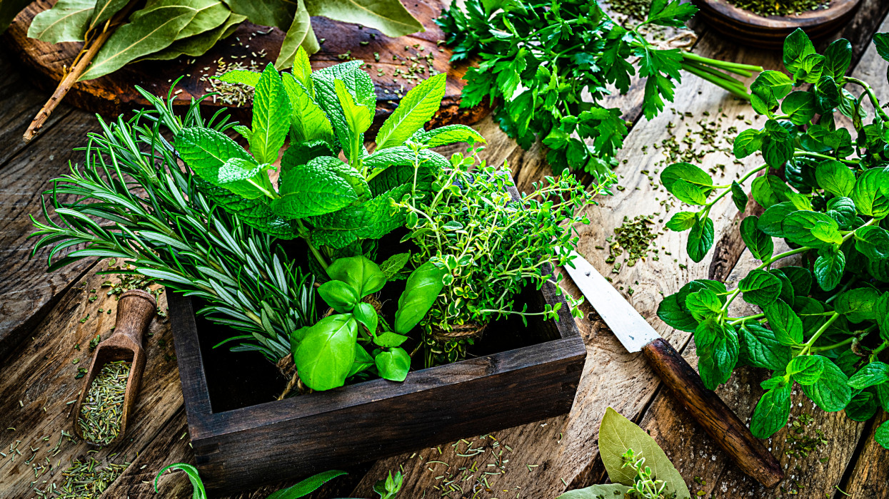 Unod a Mikulásvirágot? Top 10 téli növény, amik beillatozzák a karácsonyt, és a konyhában is kincset érnek