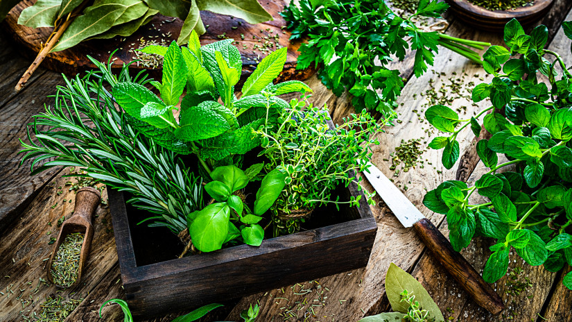 Unod a Mikulásvirágot? Top 10 téli növény, amik beillatozzák a karácsonyt, és a konyhában is kincset érnek