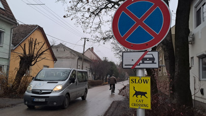 Macska az úton? Szegeden meglépték: talán rendszer lesz ebből a szokatlan közlekedési táblából