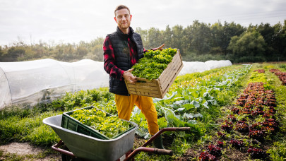 Ezt sokan elhibázzák: a hazai sztárkertész elárulta, ezek lesznek a 2026-os kertek nagy nyertesei