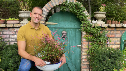 Karácsonyi meglepetés-videó készült a kertbarátoknak: Borbás Marcsi, Szomoru Miklós, Udvaros Dorottya mellett sok hazai sztár üzent