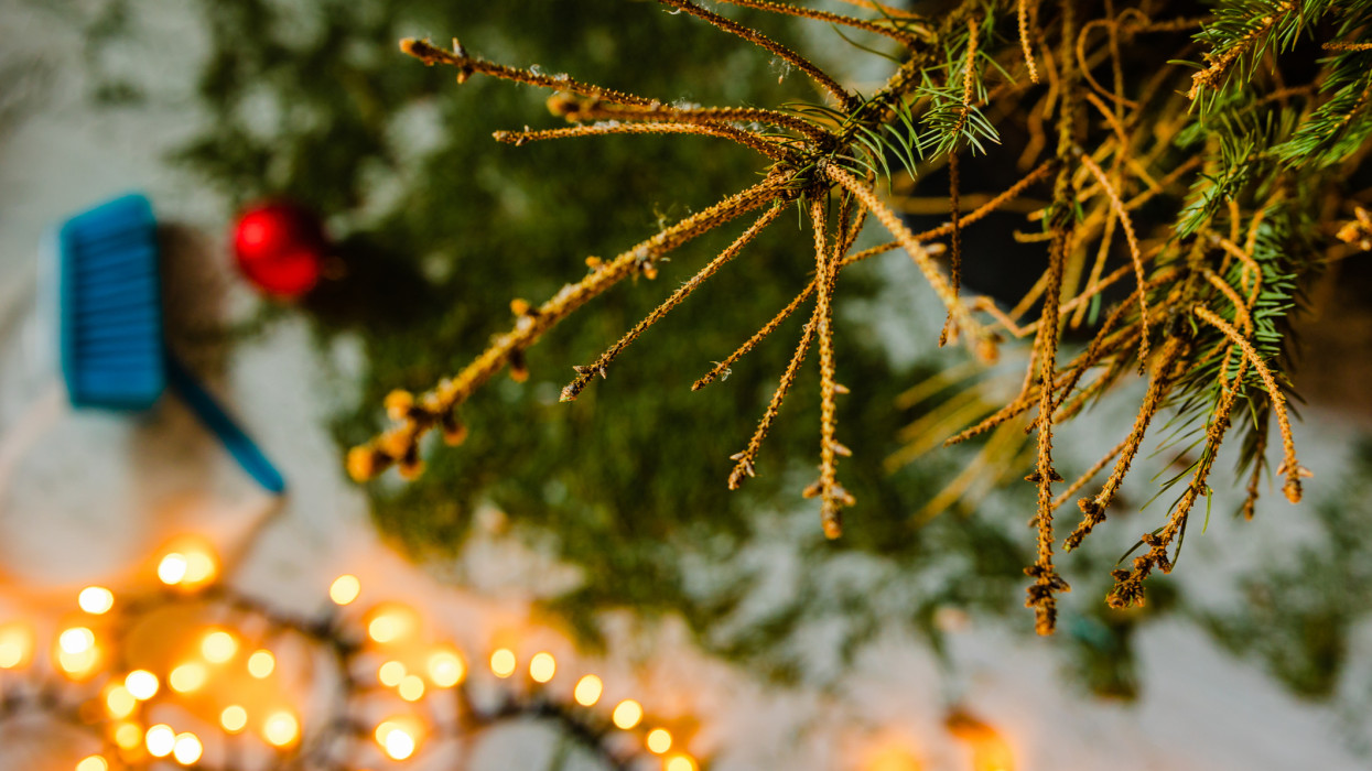 Mikor van vízkereszt napja 2026-ban? A vízkereszt jelentése, népszokások és a karácsonyfa leszedése