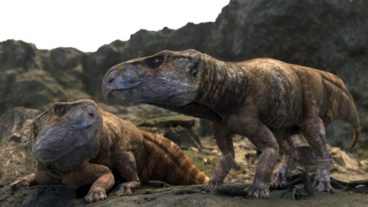 Szenzációs hazai felfedezés: a bakonyi lelet átírhatja az európai dinoszauruszok történetét