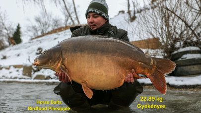 Befagyott orsóval is sikerült: óriási pontyszörnyet fogott a mázlista pecás – videón a gigászi fogás