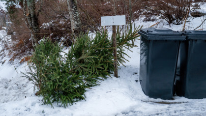 Kezdődik a fenyő elszállítás Budapesten: ide lehet kitenni a karácsonyfákat kerületenként a MOHU térkép szerint