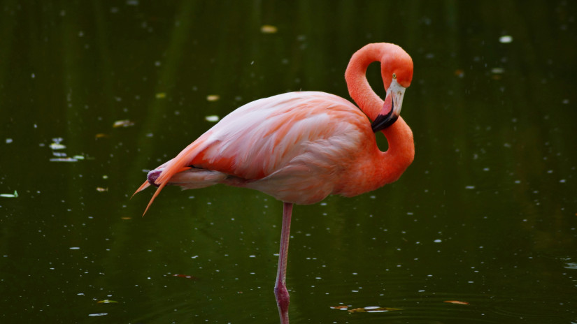 Évekkel hosszabbíthatja meg az életedet ez a 3 perces gyakorlat: de naponta kell végezned!