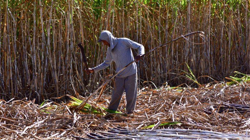Rég láttunk ilyet: tíz éve nem csinálták a balatoni strandokon - pedig nagyon fontos lenne
