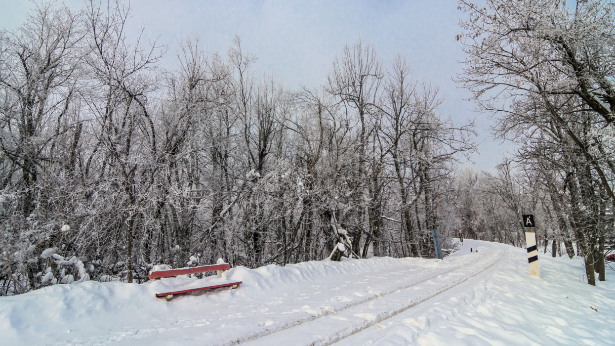 Komoly gond van a Normafa szánkópályájával: erről tudj, mielőtt útnak indulnál