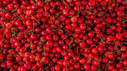 Kész, vége: a magyar vásárlók már most lemondhatnak a meggyről 2026-ban - olyan drága lesz, hogy élő ember nem fogja kifizetni