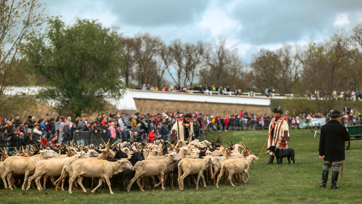 Hol és mikor lesz hídivásár Hortobágy területén? A hortobágyi hídi vásár 2026-ban is vár: itt van minden információ, amit tudni érdemes