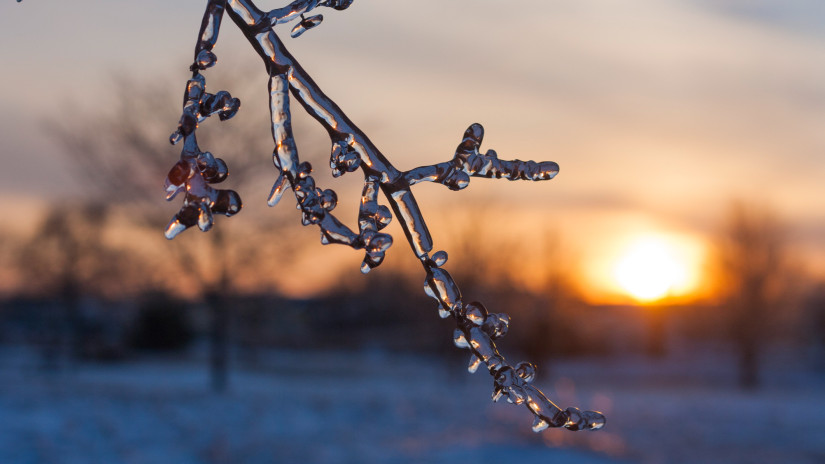 Eleged van a februárból? Ezek a budapesti programok kirángatnak a téli depresszióból