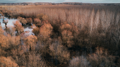 Komoly árvíz jöhet, ha felgyorsul az olvadás? Megszólalt a Vízügyi Főigazgatóság, erre számíthatunk Magyarországon