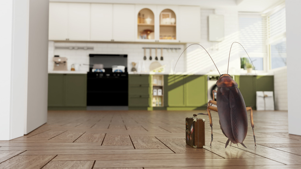 Riasztott a Nébih: a nyaralásról olyan kártevő jöhet haza, ami pusztító