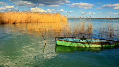 Rég nem látott látvány a Balatonon: ezen a népszerű strandon kezdődhet a nádaratás