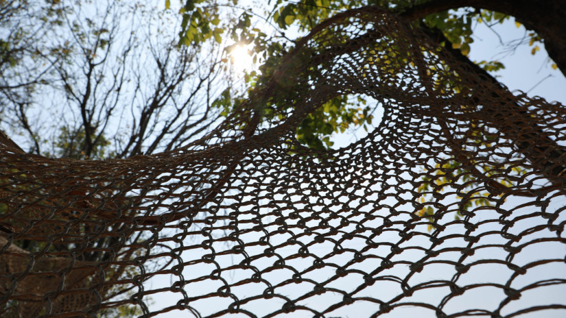 Különleges háló a fák között hódít a magyar erdőkben: nem pók szőtte, te is felmászhatsz rá + Videó