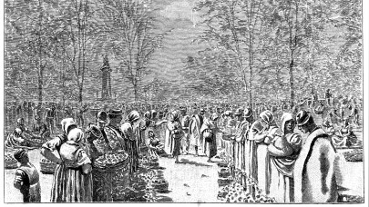 Mikor lesz 2026-ban kecskeméti piac és vásár? Itt található a piac és a vásár Kecskemét területén: minden fontos tudnivaló egy helyen