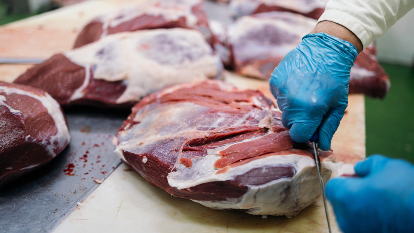 Hiába nemzeti érték és "véres" politikai slágertermék, szép lassan kipusztul a disznóvágás Magyarországon