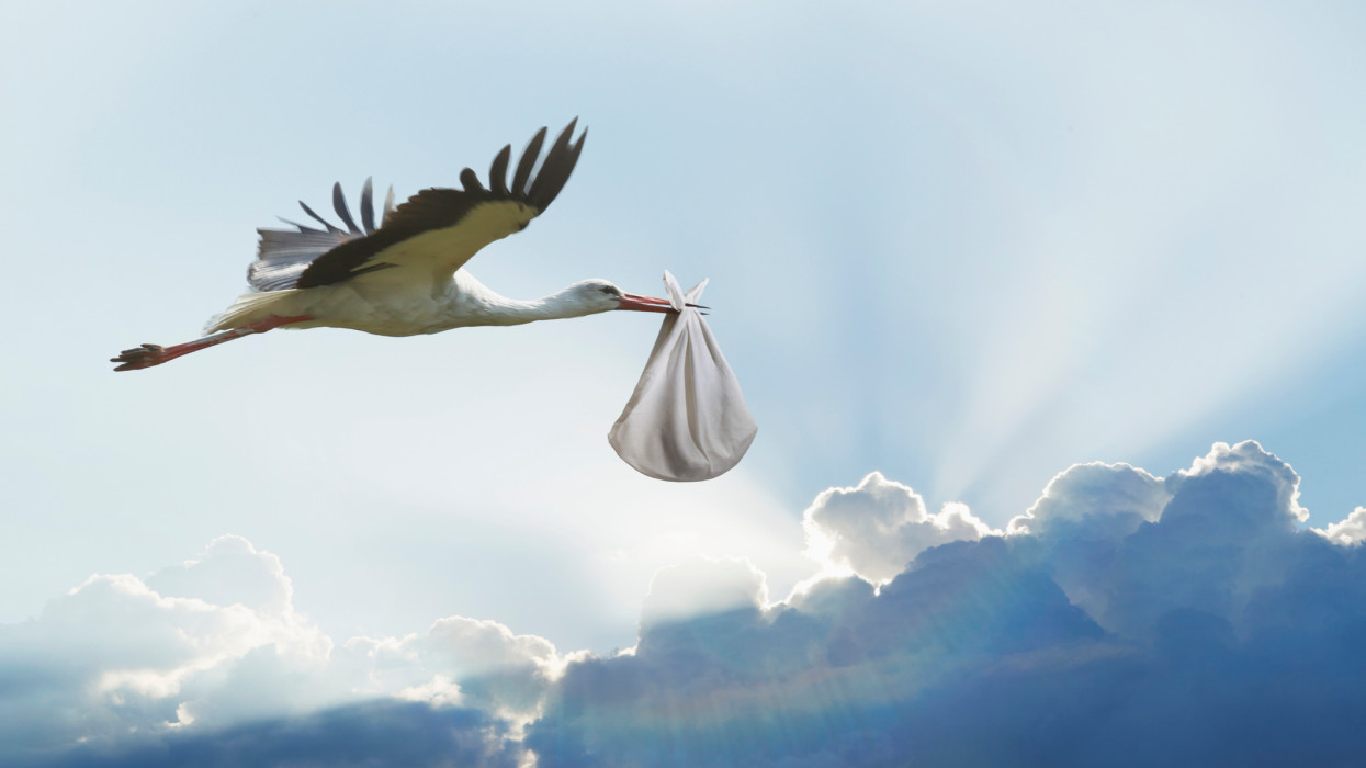 Valaki szólt a gólyának, hogy vége a télnek: íme Magyarország első tavaszi befutója