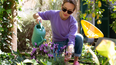 A hazai sztárkertész életmentő trükkjei: így maradnak gyönyörűek a bolti náciszok, hóvirágok és primulák