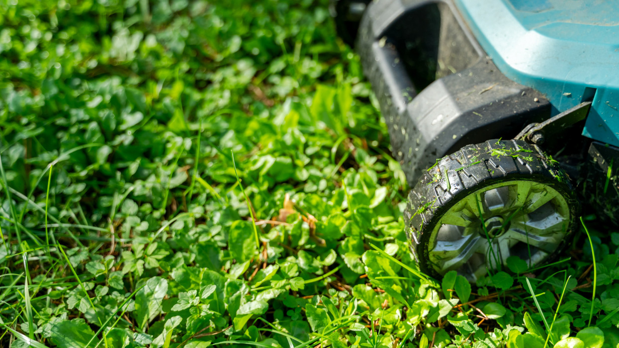 Készülhetnek a magyar kertesház-tulajok: óriási változás élesedik, ez alól nem lehet kibújni