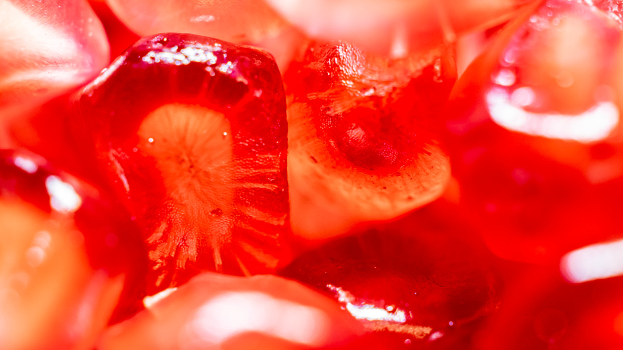 Kvíz: Te ráismersz a hétköznapi tárgyakra, ha ilyen közelről nézed? Teszteld, hányat találsz el a 10-ből!