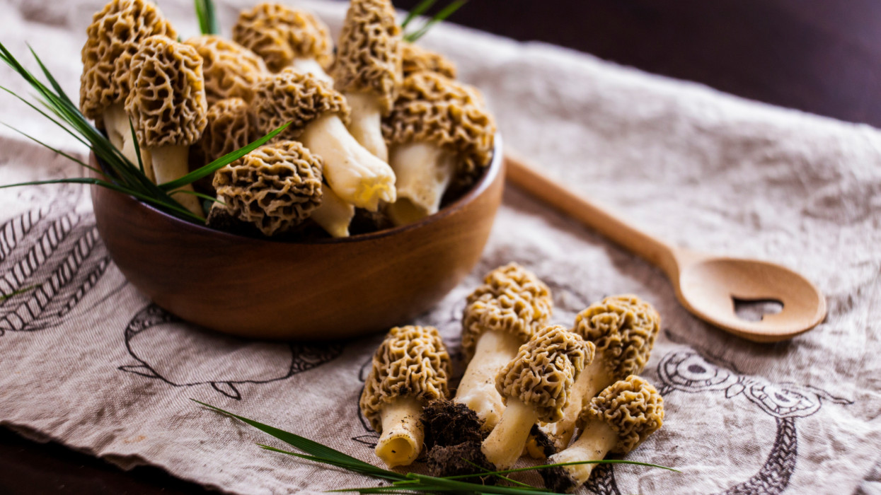 Előbújt a hazai erdők ínycsiklandó luxusgombája: 18-20 ezer kilója, mégis viszik, mint a cukrot