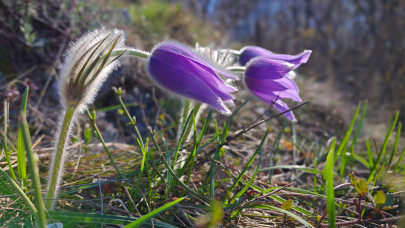 Rengeteg budapesti kirándulót vonz a csodahely, de csúnya vége lehet: pénztárcád és bőröd is bánhatja