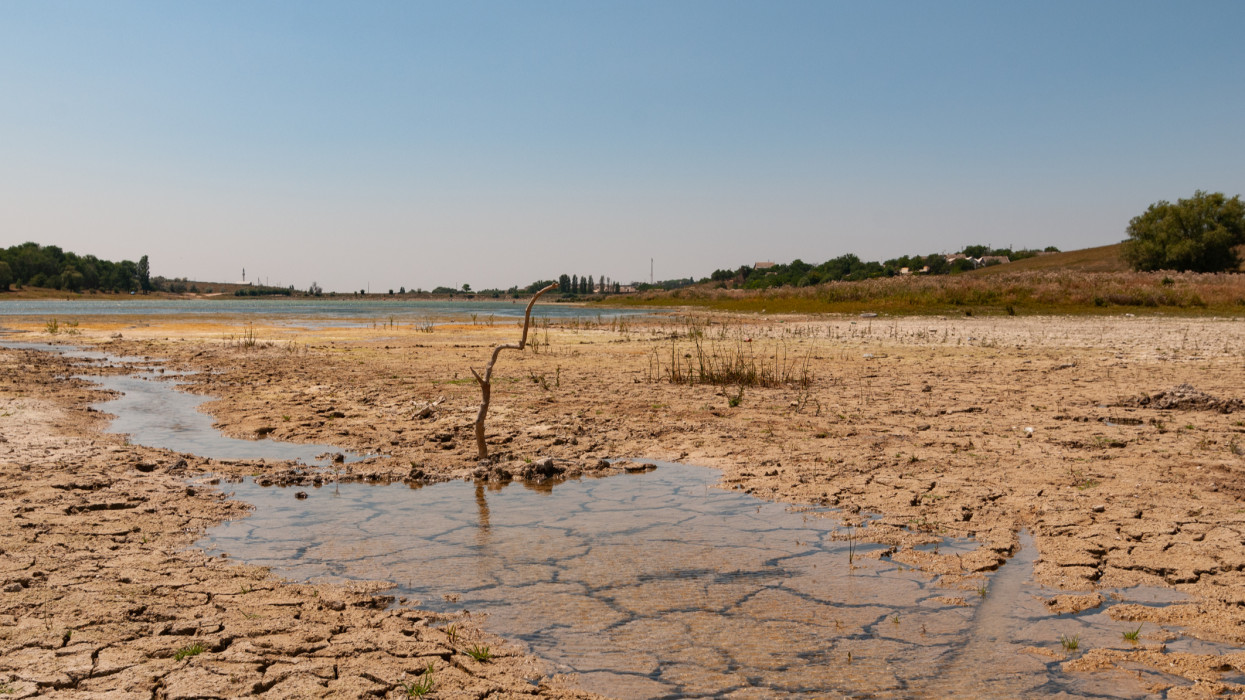 Aszályriadó a magyar vidéken: döbbenetes videó készült a rekordalacsony Sebes-Körösről