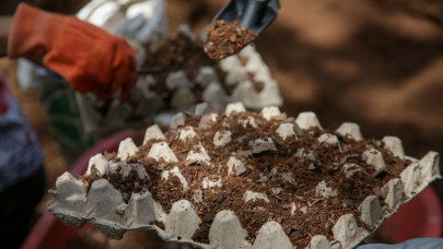 Ezt a hibát rengeteg magyar kertes házban elkövetik tavasszal: ki ne dobd ezt a szemetet, egyenesen aranyat ér a termőföldnek