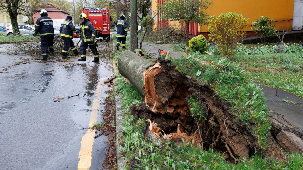 Brutális széllökések teszik tönkre a pihenést: komoly veszélybe kerülhet a közlekedés ebben a hazai régióban