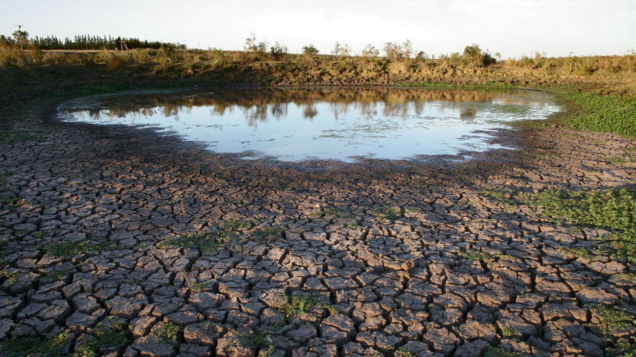Drámai fordulat a hazai tórendszernél: szinte teljesen eltűnt a víz, halakat kellett menteni a mederből