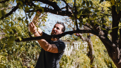 Súlyos hibába szaladnak a magyar kerttulajok: ezekhez a fákhoz áprilisban tilos nyúlni, figyelmeztet a sztárkertész