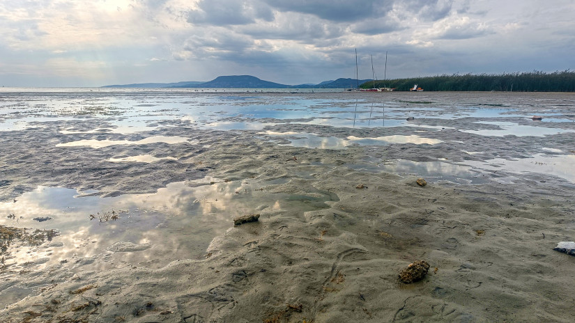 Veszélybe kerülhet a nyaralás a Balaton kedvelt strandjain: bosszantó jelenség keseríti meg a fürdőzők életét
