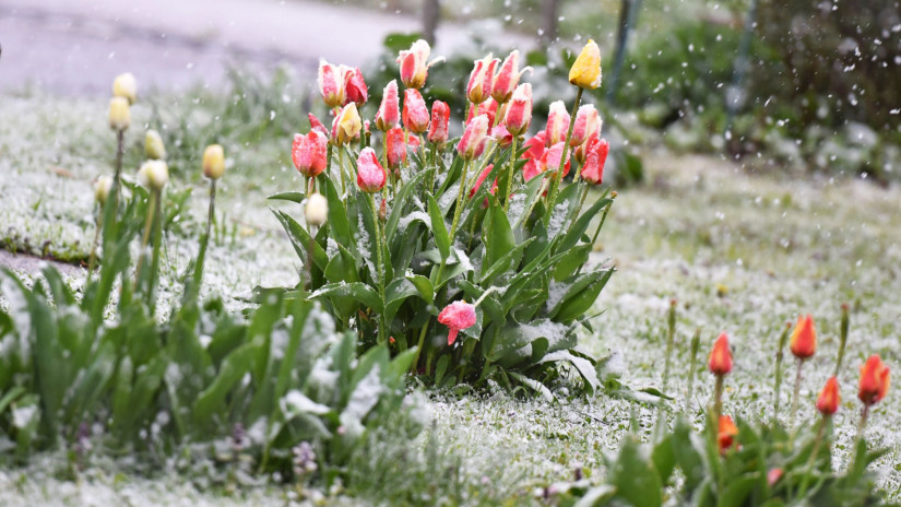 Megbolondult az időjárás, visszatért a havazás Magyarországra: itt lehet számítani még hóesésre + Videó