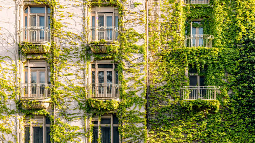 Rengeteg magyar háztulaj sétál önként a csapdába: milliókat bukhatnak haláleset, válás után egyetlen mulasztás miatt