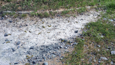 Durvul a helyzet Szombathelyen: védőmaszkokat osztanak a rákkeltő azbeszt-szennyezés miatt