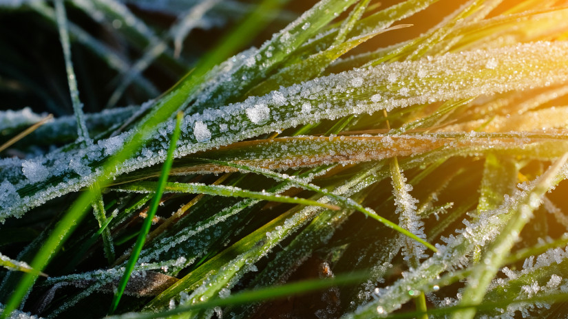Itt a kemény fordulat az időjárásban: brutál fagyok jönnek, évtizedek óta nem volt ilyen itthon április végén