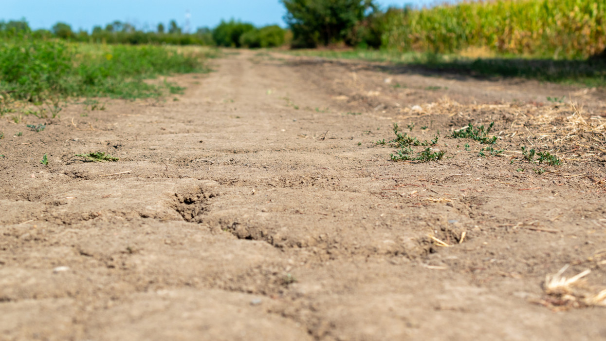 Drámai figyelmeztetés a magyar kutatótól: ami most elkezdődött, az rosszabb a 2022-es rémálomnál