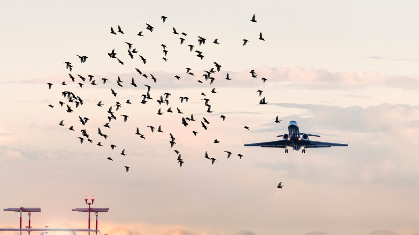 Katasztrófától tartanak az utasok, ha ez történik a levegőben: leleplezték a repülés egyik legnagyobb titkát