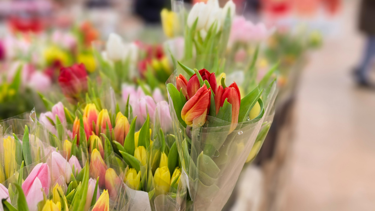 Ilyen akciót évente csak egyszer durrantanak a magyar boltok: mindenki ezekért a termékekért áll sorba a héten