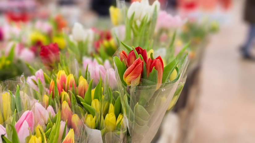 Ilyen akciót évente csak egyszer durrantanak a magyar boltok: mindenki ezekért a termékekért áll sorba a héten