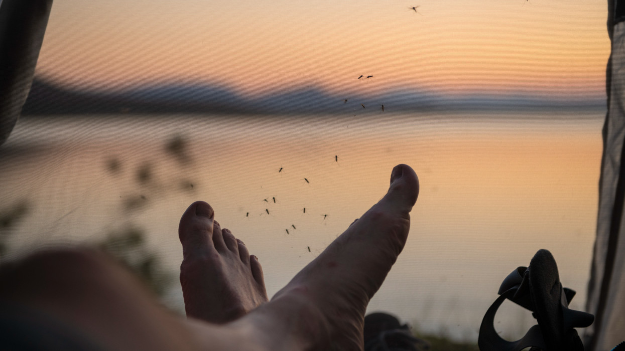 Óriási fordulat várható a Balatonnál 2026 nyarán: végre fellélegezhetnek a nyaralók?