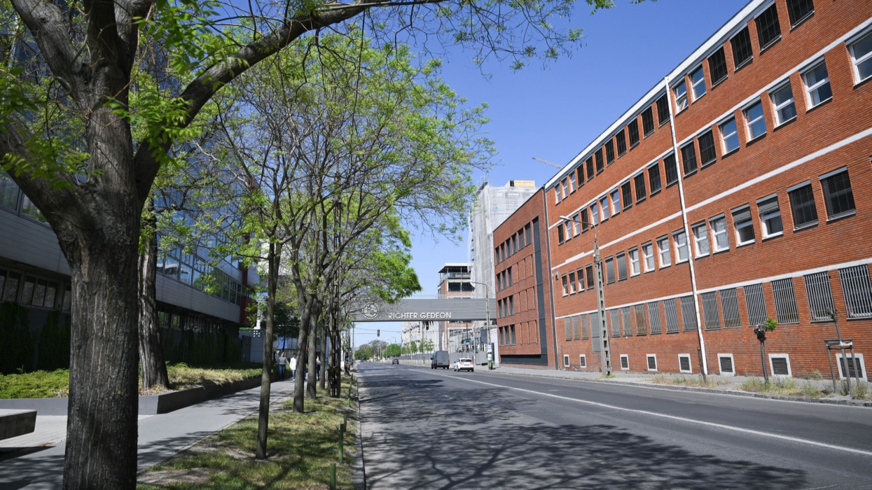 Megszólalt a Richter-vezér az elhalasztott osztalékfizetésről: erről egyeztek meg Magyar Péterrel