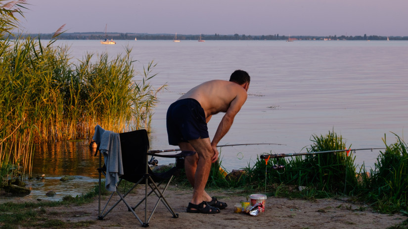 Remek hír érkezett a Balatonról: 9000 őshonos halat engedtek a tóba, a pecások kedvence lehet