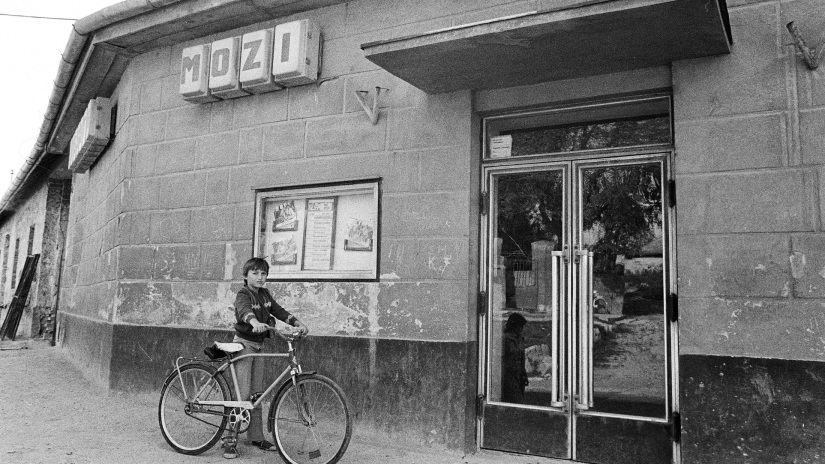 Kvíz: Mindenre emlékszel A tanú című legendás magyar filmből? Mutasd meg kvízünkkel!