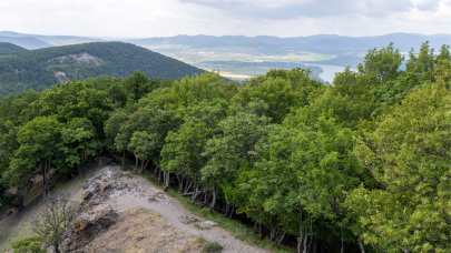 Veszélybe került az egyik legszebb magyar ártéri erdő: rendkívüli beavatkozás indult a megmentésére