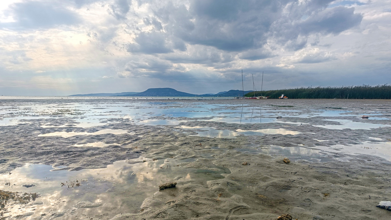 Döbbenetes látvány fogadta a balatoni strandolókat: hatalmas tetemet vetett partra a víz + Fotó