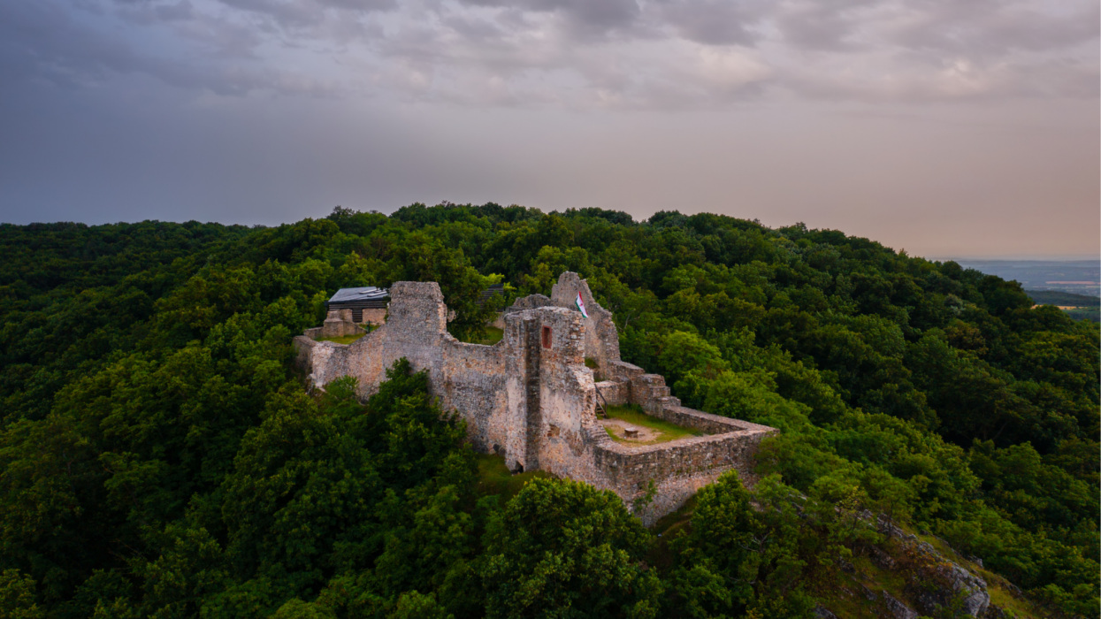 Hihetetlen átalakulás a Balaton közelében: kopár hegyoldalak helyén ma értékes erdők zöldellnek + Videó