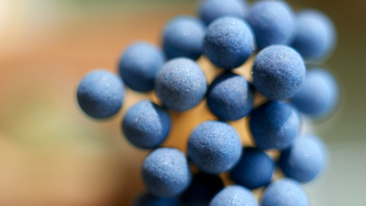 A kék biztonsági gyufahegyek szorosan egymás mellé vannak csoportosítva, így egy texturált gömböt alkotnak extrém közelképben, a kontrasztot és mélységet biztosító elmosódott háttérrel.